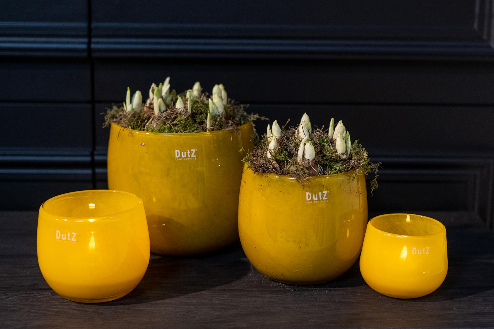 Pot ochre