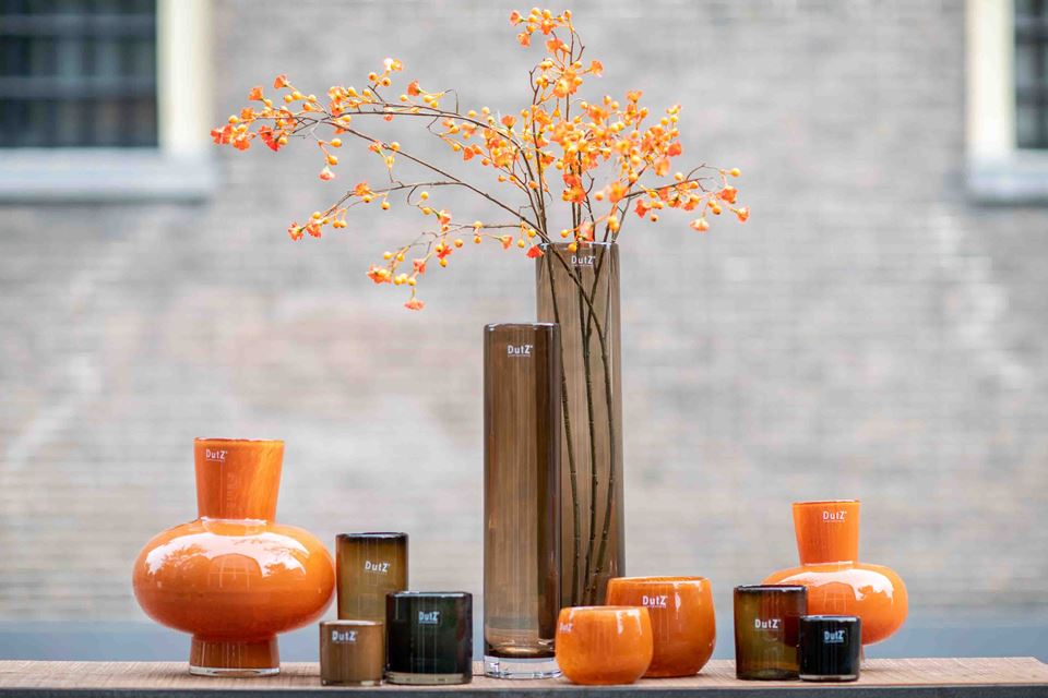 Offizieller Webshop | DutZ collection
